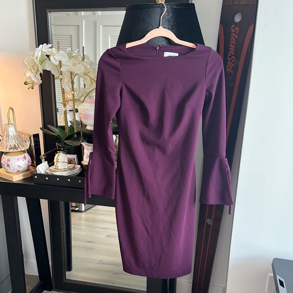 Calvin Klein Plum Dress